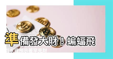 鴿子進家門|鴿子飛到家裡代表什麼？